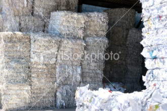 Paper Shredding