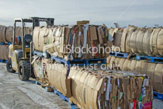Cardboard Baling