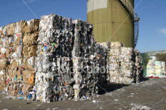Paper & Cardboard Recycling